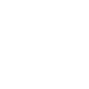 Schäfer Computer